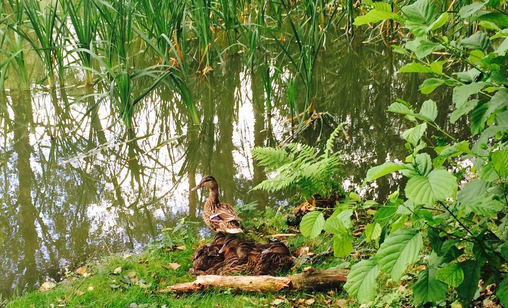 Poilsio baze Konuk evi Latežeris Dış mekan fotoğraf